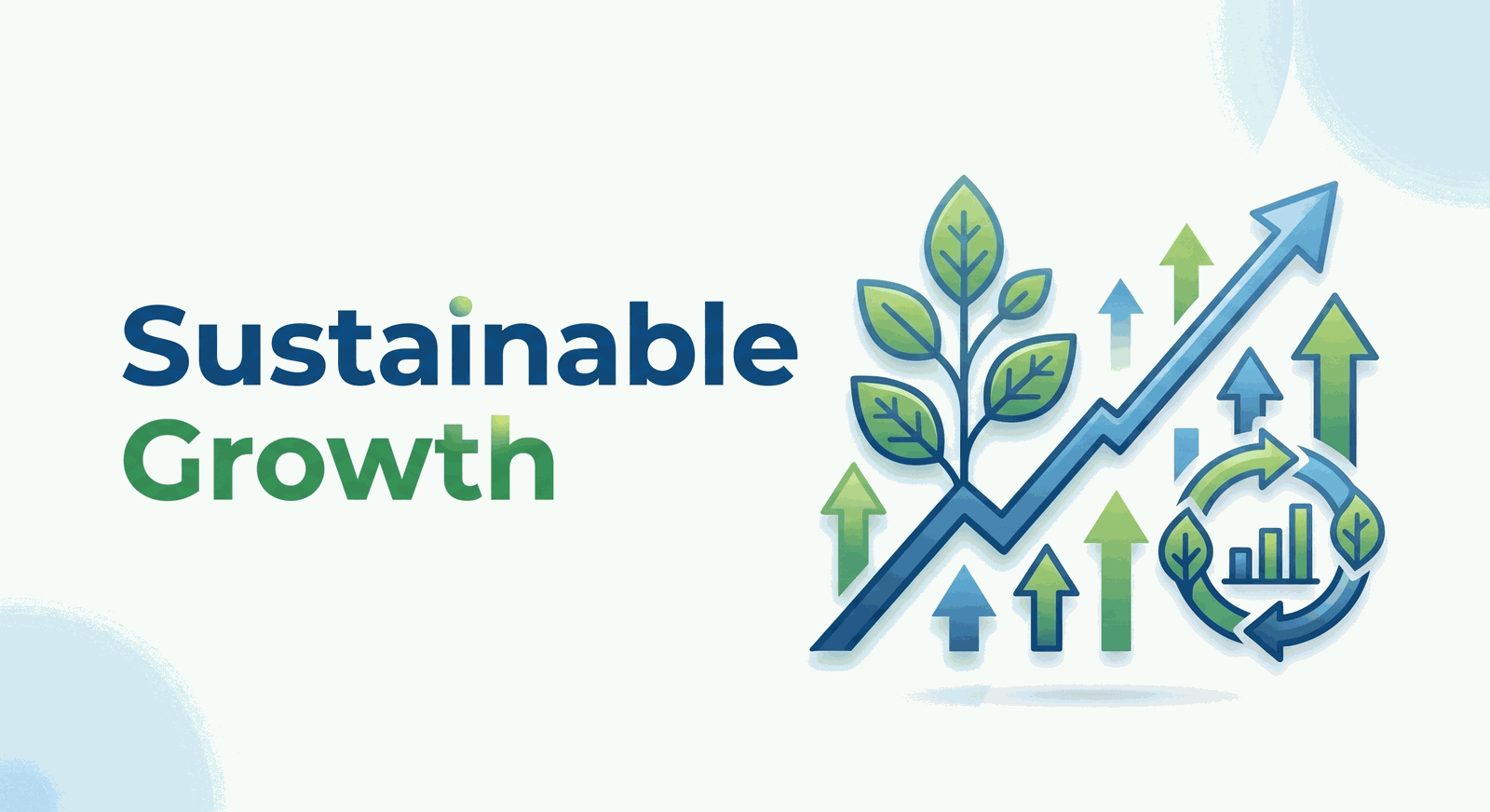 Sustainable Growth